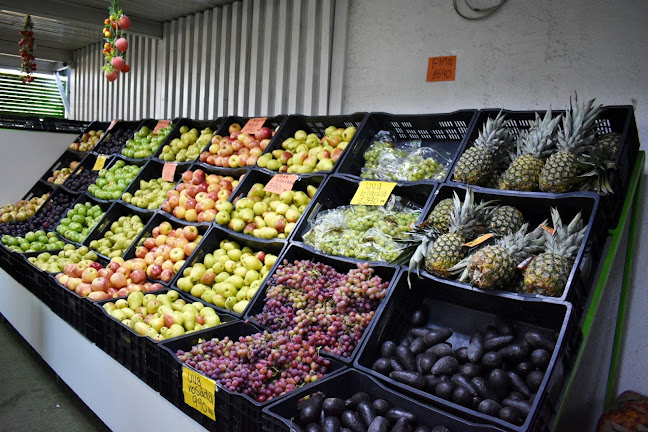 Opiniones de frutas Y Verduras Sofía en Las Condes - Frutería