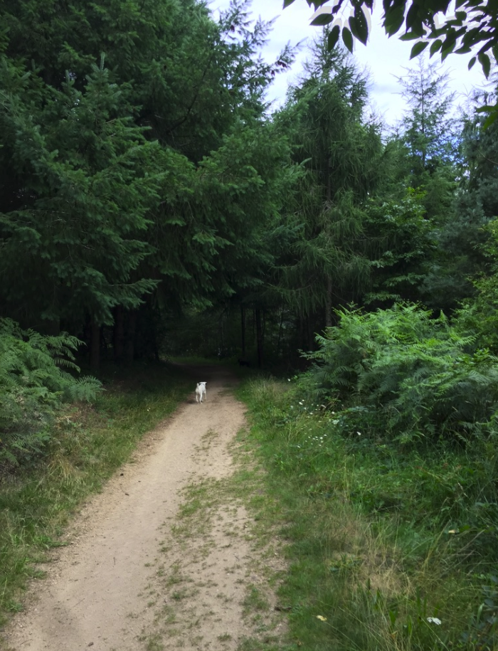 Photo n° 2 de l'avis de Moris.e fait le 05/08/2021 à 16:21