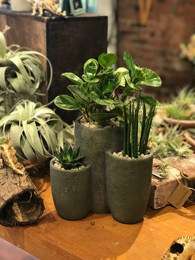 Florist «Herban Bloom», reviews and photos, 17600 Vashon Hwy SW, Vashon, WA 98070, USA