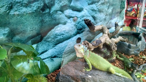 Pet Supply Store «Petco Animal Supplies», reviews and photos, 2000 NE Burnside Rd, Gresham, OR 97030, USA