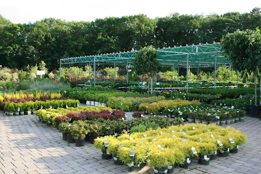 Garden Center «Blooms at Belle Mead», reviews and photos, 1980 US-206, Belle Mead, NJ 08502, USA