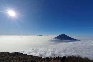 Puncak Gunung Sindoro via Kledung image