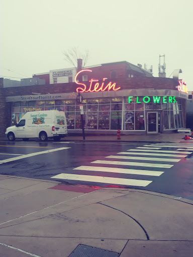 Florist «Stein Your Florist Co.», reviews and photos, 7059 Frankford Ave, Philadelphia, PA 19135, USA