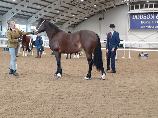 Aintree International Equestrian Centre