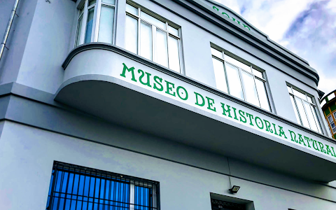 Museo de Historia Natural da SGHN (Ferrol) image