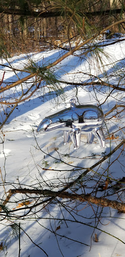 Park «Pond Meadow Park», reviews and photos, 470 Liberty St, Braintree, MA 02184, USA