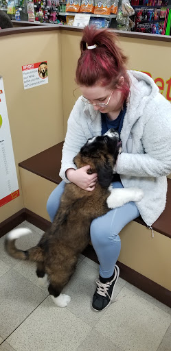 Pet Store «Petland», reviews and photos, 977 E State St, Athens, OH 45701, USA