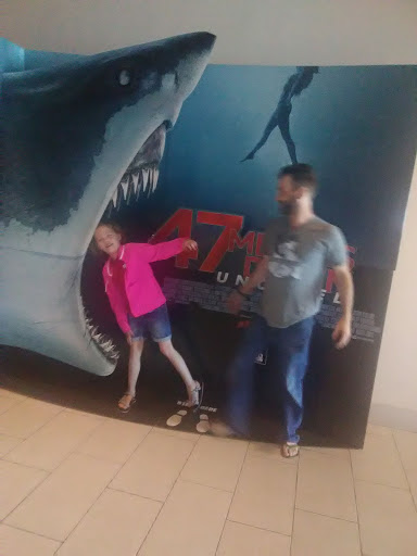 Movie Theater «AMC Fiesta Square 16», reviews and photos, 3033 N College Ave, Fayetteville, AR 72703, USA