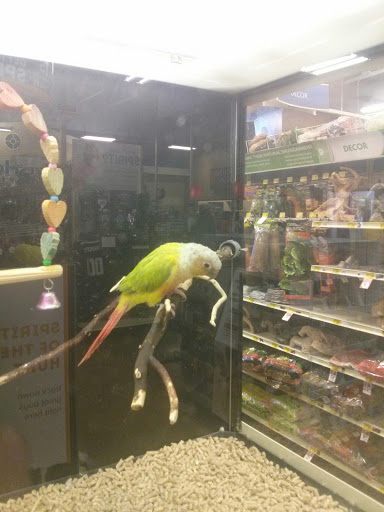 Pet Supply Store «PetSmart», reviews and photos, 745 W Huntington Dr, Monrovia, CA 91016, USA