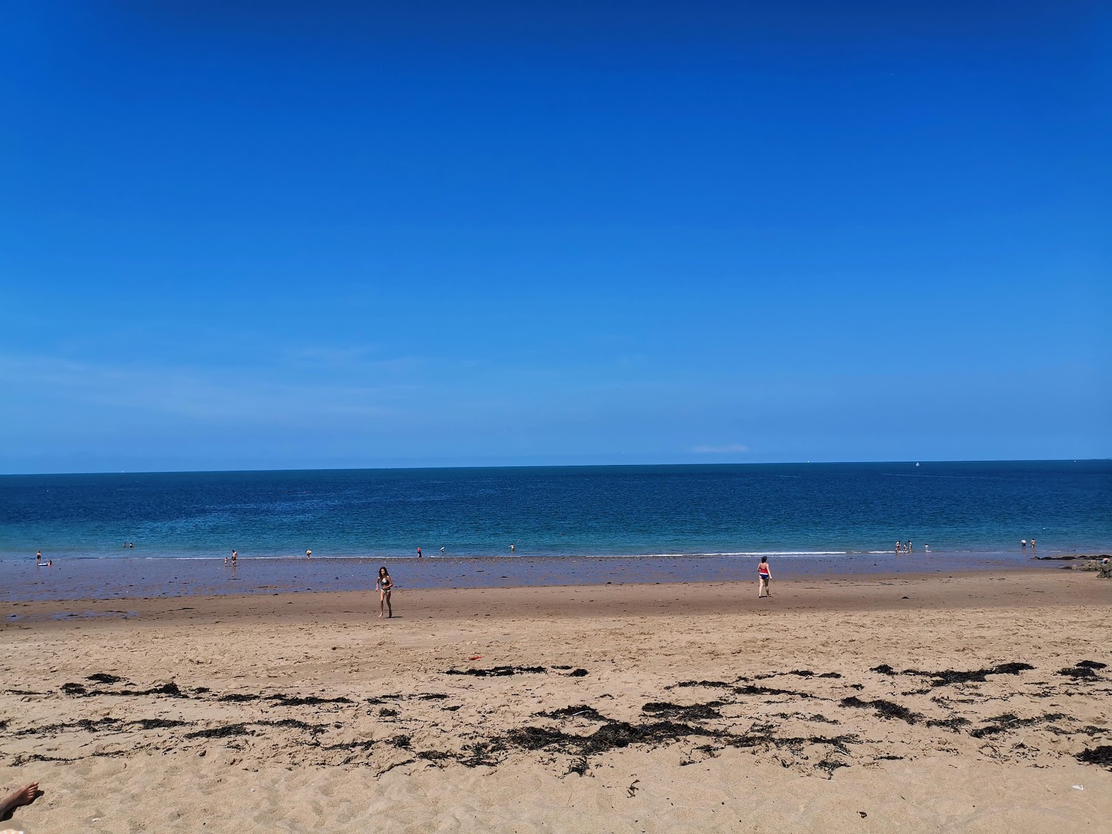 Foto de Plage du Saussaye ubicado en área natural