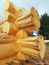 Aspiring Log Homes
