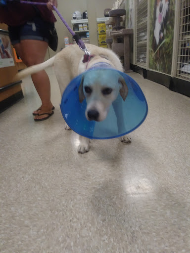 Pet Supply Store «PetSmart», reviews and photos, 3995 Welsh Rd, Willow Grove, PA 19090, USA