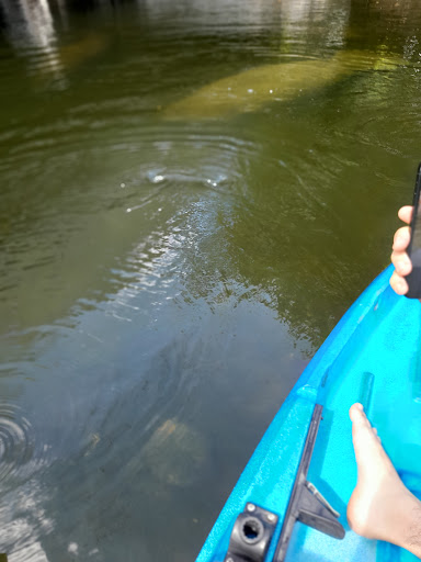 Park «Sewell Park», reviews and photos, 1801 NW S River Dr, Miami, FL 33125, USA