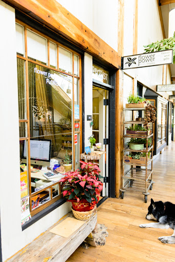 Flower Power Studio, 28914 Roadside Dr Unit 218, Agoura Hills, CA 91301, USA, 