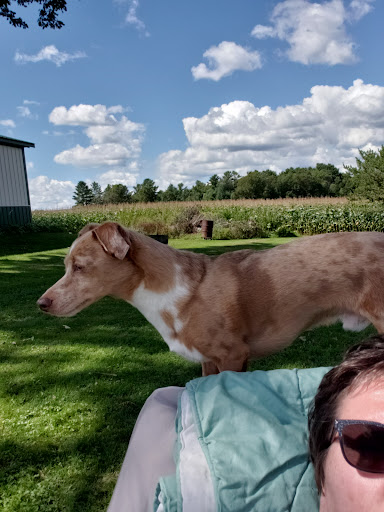 Bear Creek Animal Hospital image