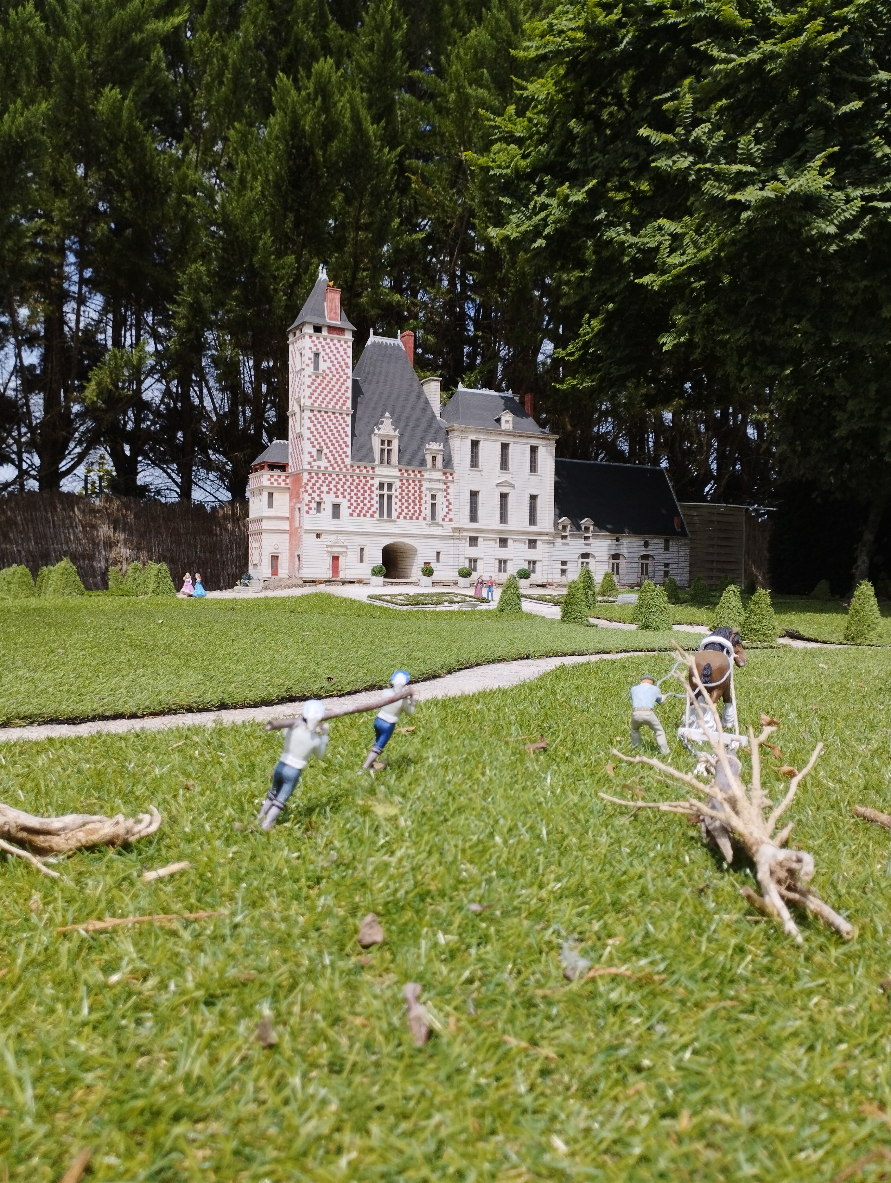 Photo n° 8 de l'avis de Anatole.m fait le 19/07/2023 à 11:08