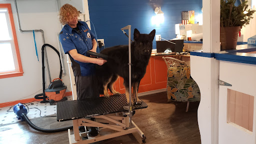 Dutch Dog Groomer