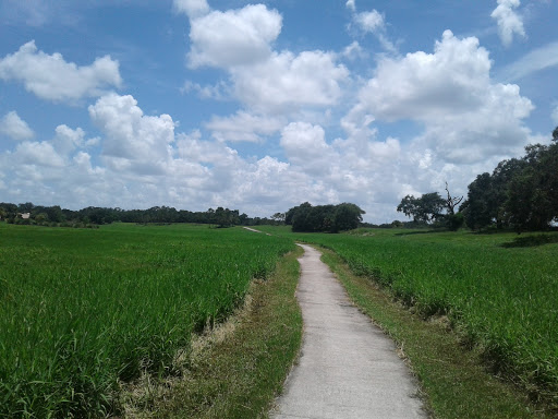 Nature Preserve «Pine Island Ridge Natural Area», reviews and photos, 3900 SW 100th Ave, Davie, FL 33328, USA