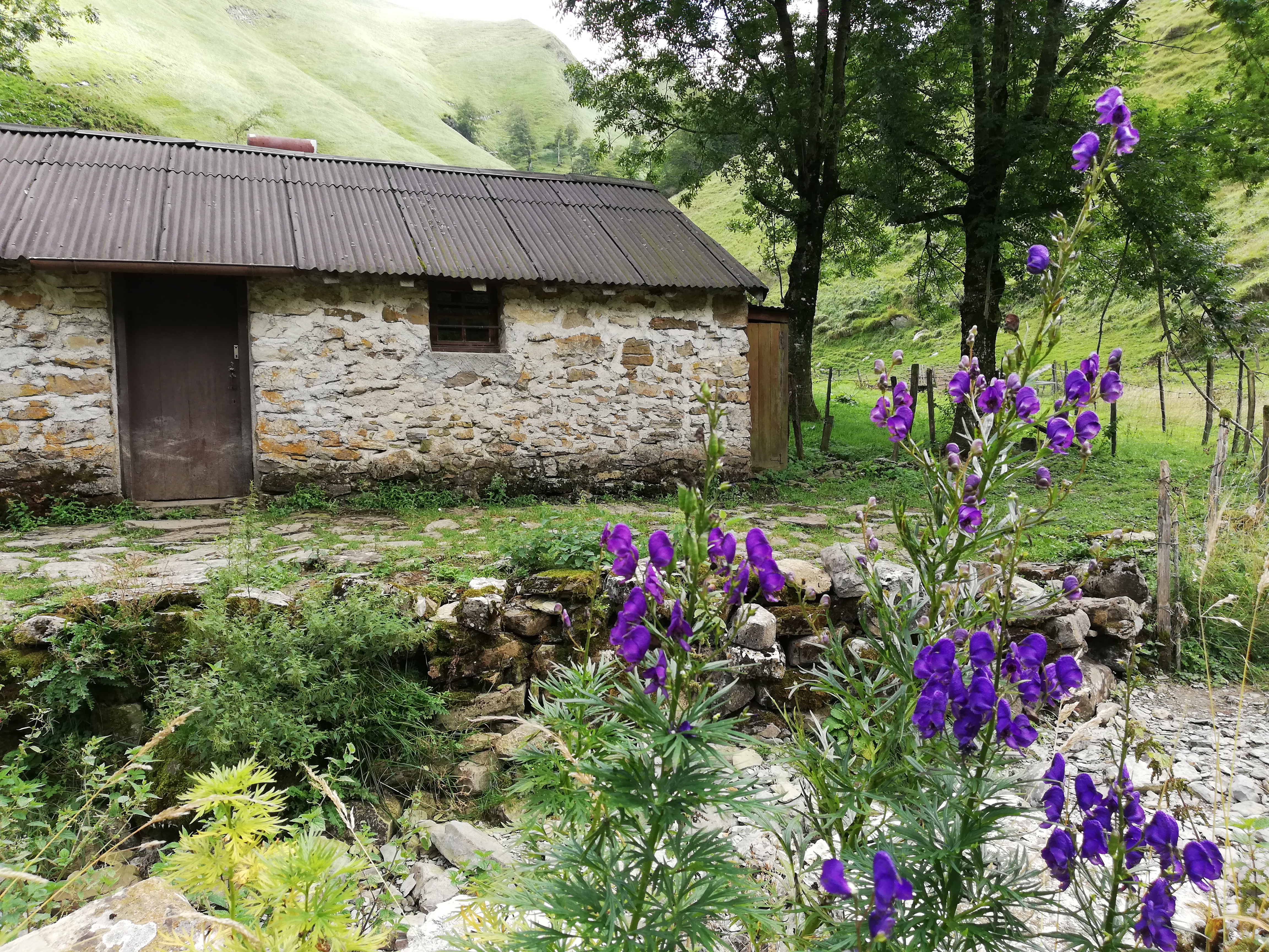 Photo n° 5 de l'avis de pat.m fait le 23/08/2018 à 10:53