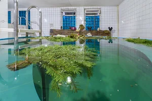 Общественный банный комплекс Ржевские бани | Рижская image
