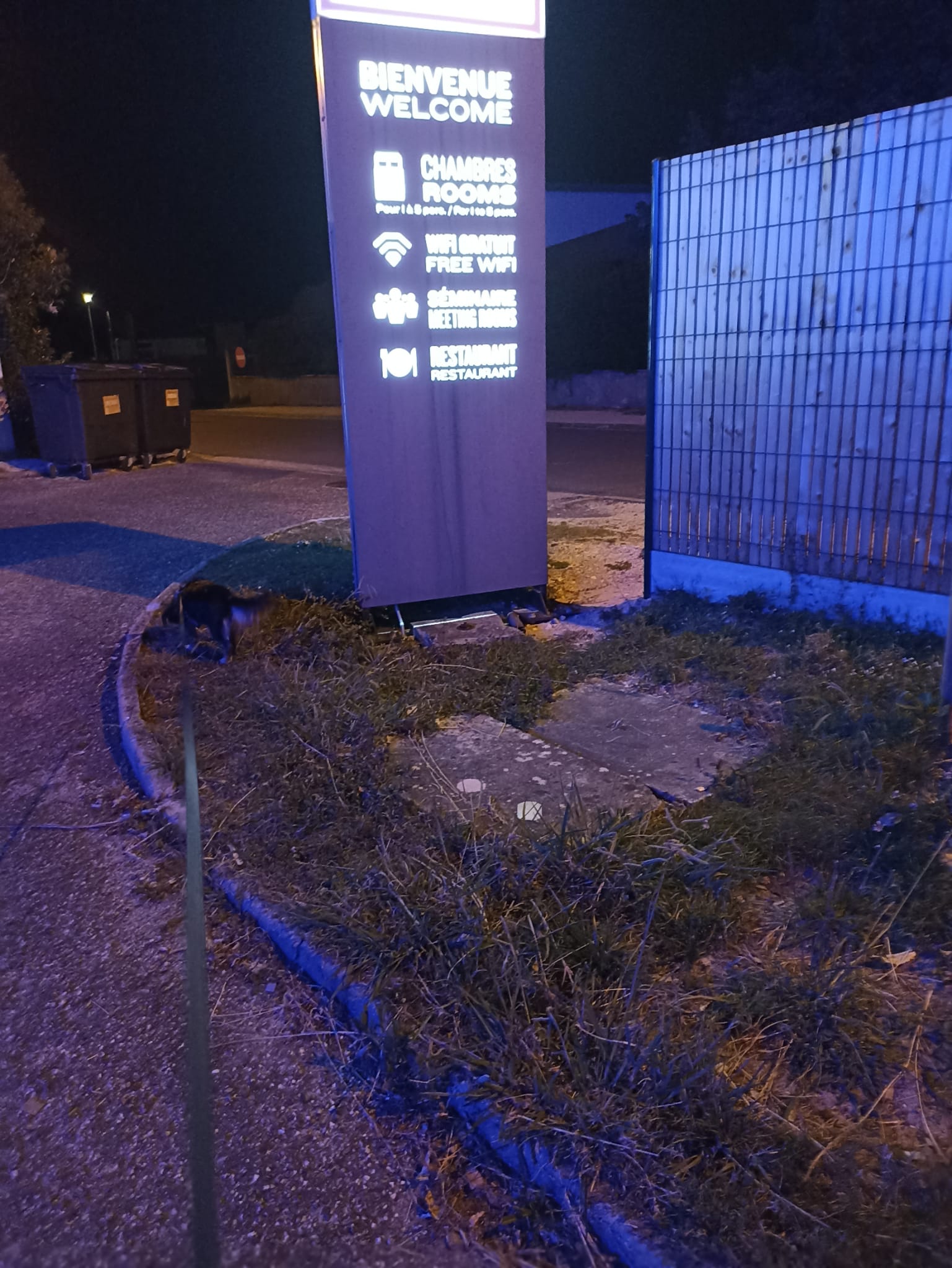 Photo n° 1 de l'avis de Jo. fait le 11/07/2022 à 15:15