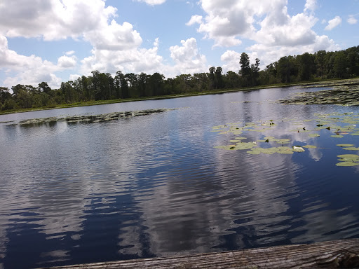 Nature Preserve «Serenova Tract», reviews and photos, 14900 Florida 52, Land O Lakes, FL 34638, USA