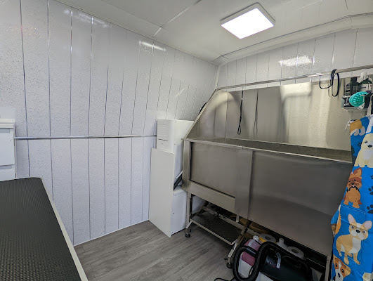 Bright Paws Mobile Dog Grooming