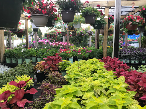 Hardware Store «Proctor Ace Hardware», reviews and photos, 1281 Atlantic Blvd, Neptune Beach, FL 32266, USA