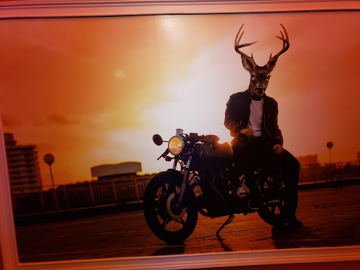 Bowling Alley «AMF Park Lanes», reviews and photos, 900 Axtell Dr, Cayce, SC 29033, USA