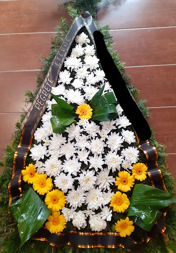 Floraria Lily - Florărie