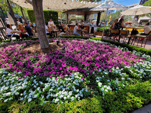Trattoria Amici At The Americana At Brand image