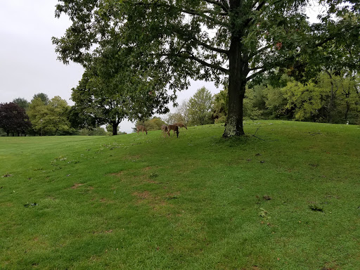 Golf Course «White Deer Park and Golf», reviews and photos, 352 Allenwood Camp Lane, Montgomery, PA 17752, USA