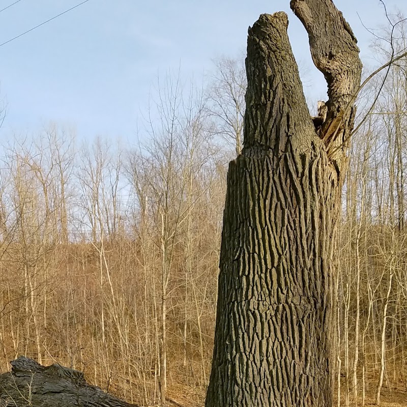 Willow Bend Picnic Area