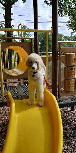 Public Swimming Pool «Reed Road Water Park», reviews and photos, 2000 Hastings Ln, Upper Arlington, OH 43221, USA