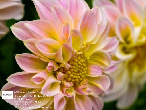 Florist «Flowers To Go», reviews and photos, 981 Bethel Ave, Port Orchard, WA 98366, USA