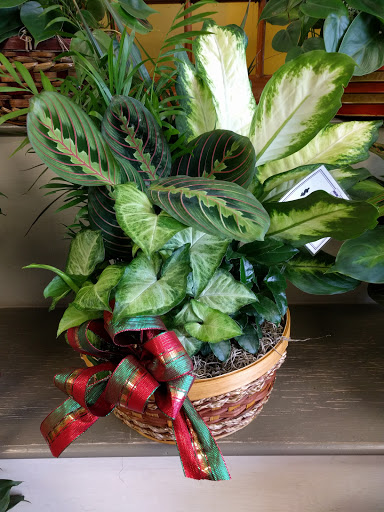 Florist «Lavender Fields», reviews and photos, 43930 Farmwell Hunt Plaza #120, Ashburn, VA 20147, USA