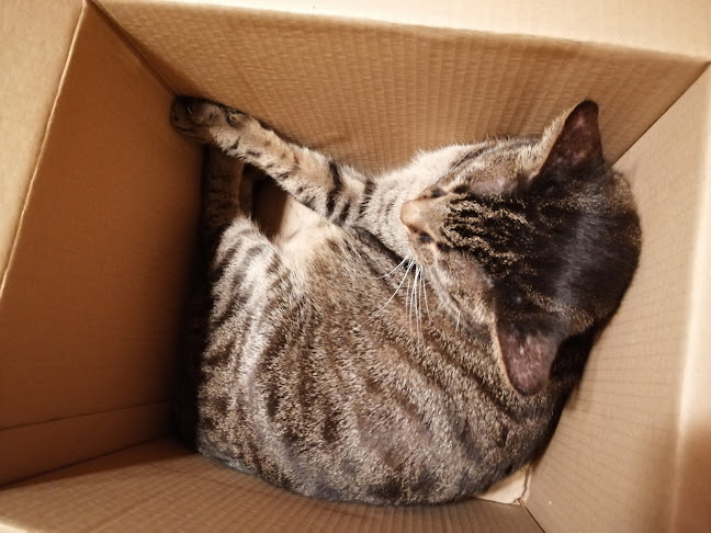 Stara Strzelnica, Grodkowska 61, 48-300 Nysa