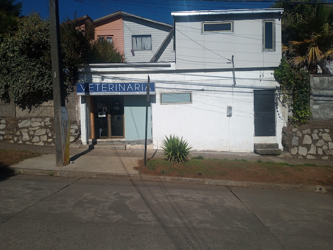 Opiniones de Clinica Veterinaria Honu en Concepción - Veterinario