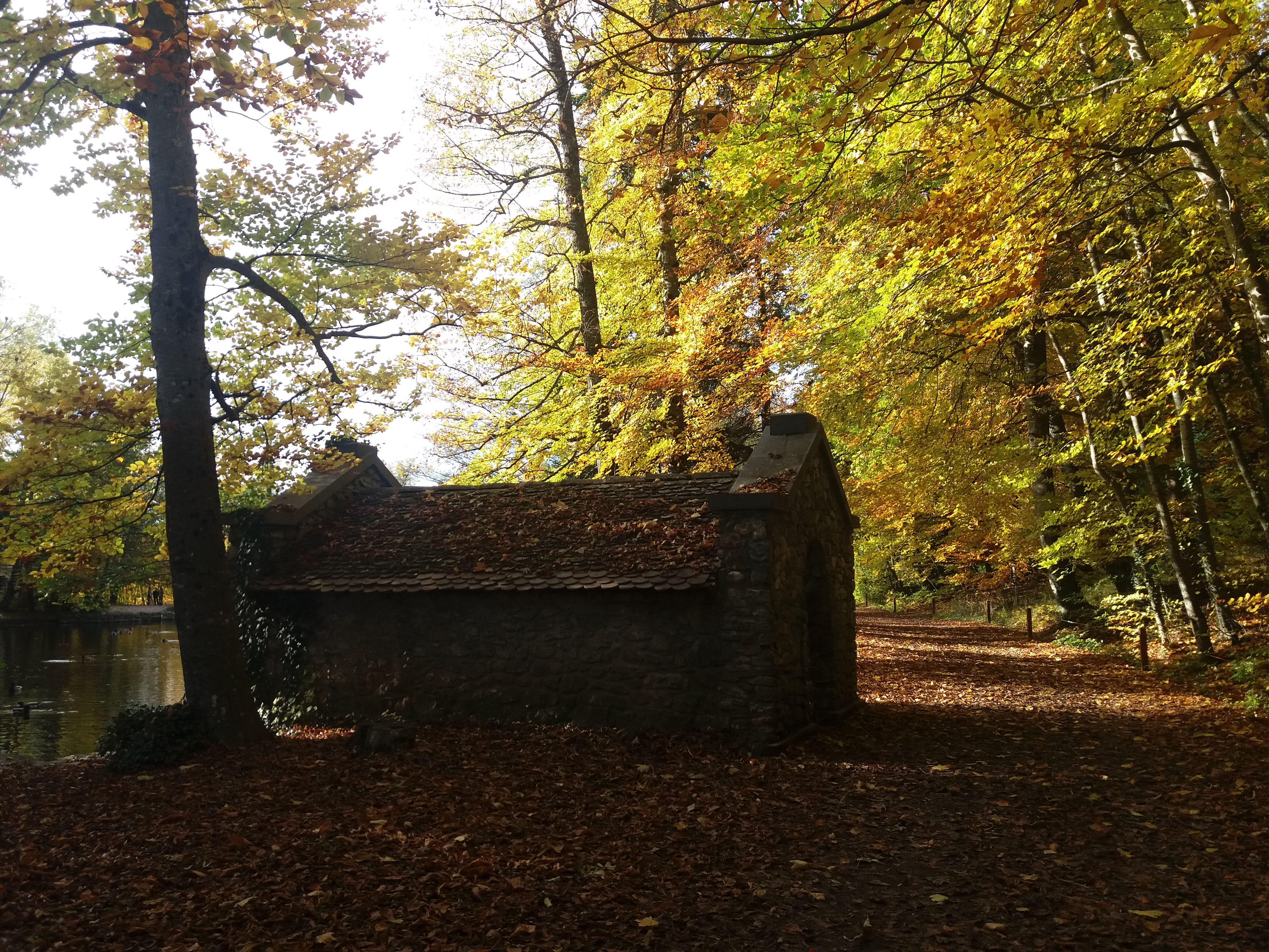 Photo n° 2 de l'avis de Gilles.e fait le 29/12/2018 à 08:19