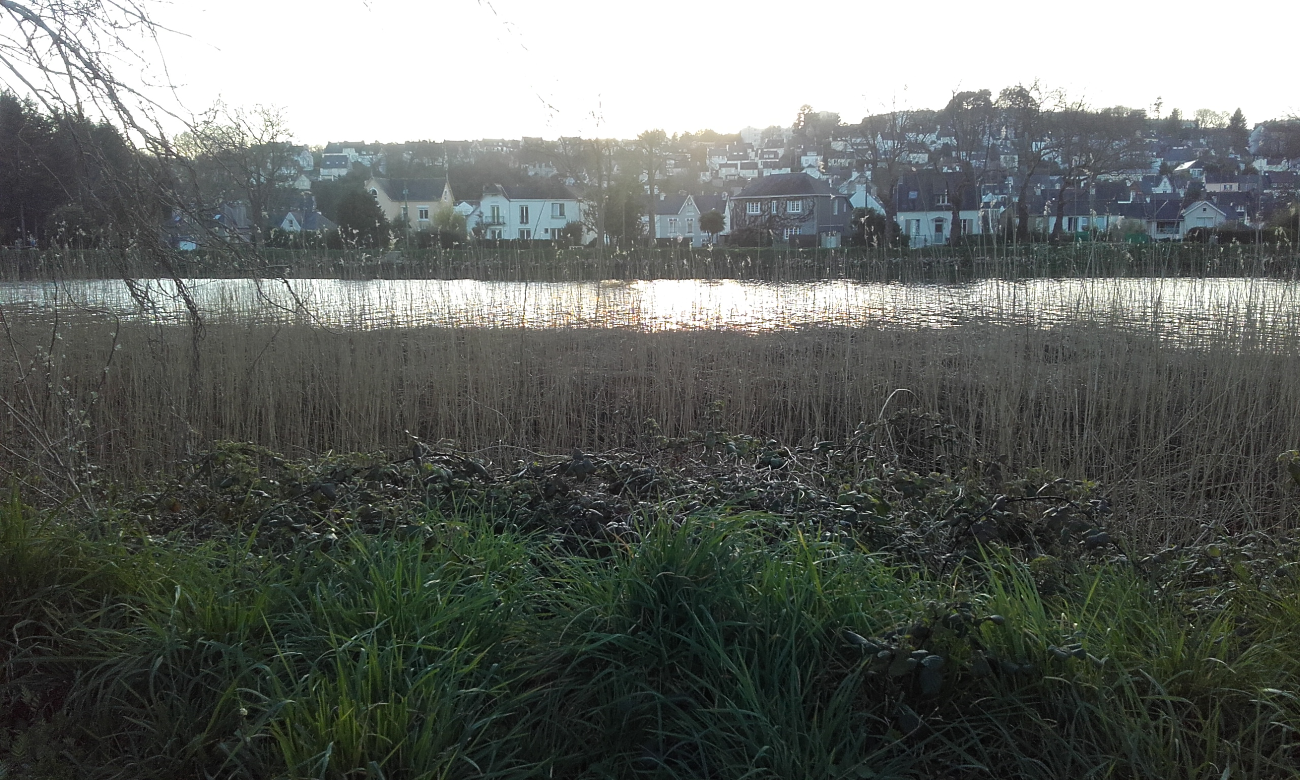 Photo n° 3 de l'avis de Jean-Baptiste.h fait le 14/04/2017 à 20:07