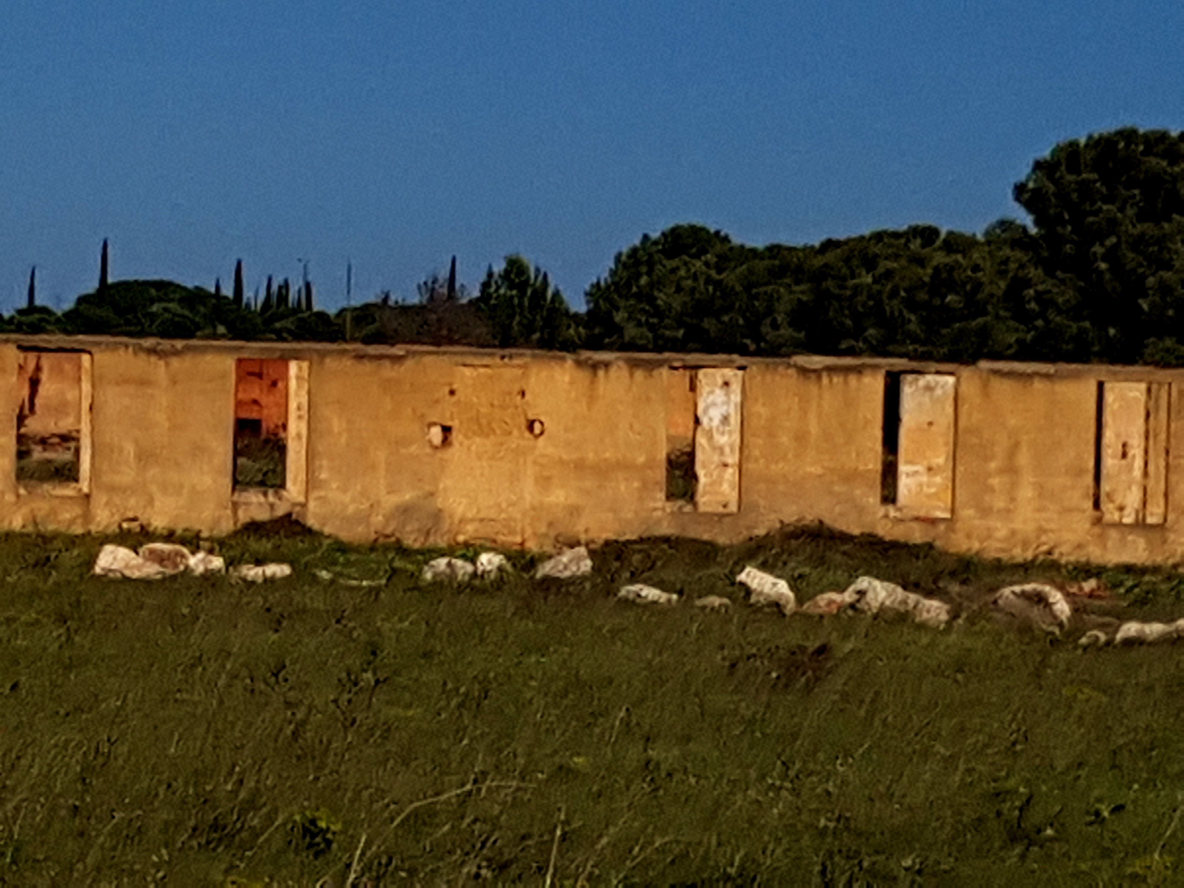 Photo n° 20 de l'avis de tiny.i fait le 13/05/2018 à 11:41