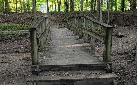 Marott Woods Nature Preserve image