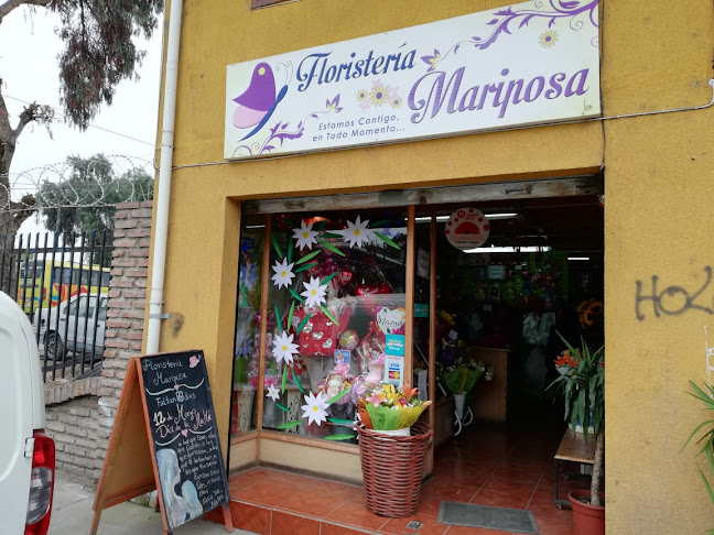 Floristería Mariposa