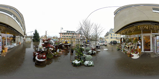 site_photo2