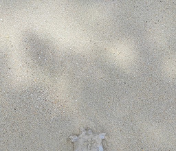 Dusit Thani Krabi Beach Resort photo