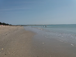 Photo de Le Martray Beach et le règlement