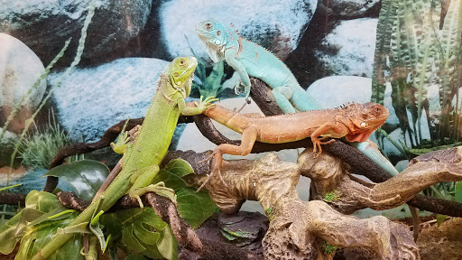 Pet Supply Store «Petco Animal Supplies», reviews and photos, 3055 N President George Bush Hwy, Garland, TX 75040, USA