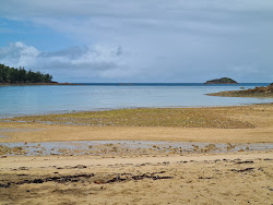 Coral Cove Beach'in fotoğrafı dağlarla çevrili