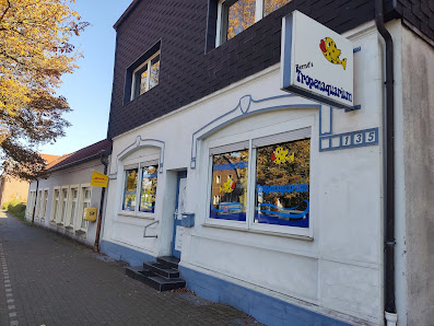 Bernd's Tropenaquarium Weseler Str. 135, 45721 Haltern am See, Deutschland