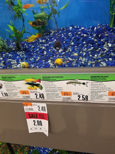 Pet Supply Store «Pet Supplies Plus», reviews and photos, 135-25 79th St, Howard Beach, NY 11414, USA